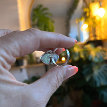 Load image into Gallery viewer, Ring • Eye Shape • 925 Sterling Silver with Coral