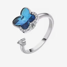 Load image into Gallery viewer, Fidget / Anxiety Rings