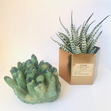 Load image into Gallery viewer, Crystal • Green Phantom Quartz • Cluster