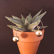 Load image into Gallery viewer, Ethnic Earrings • Rounda