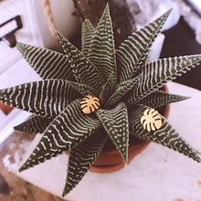 Load image into Gallery viewer, Stud Earrings • Minimal • Palm Leaf