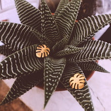 Load image into Gallery viewer, Stud Earrings • Minimal • Palm Leaf