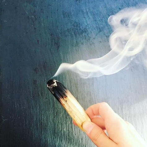 ❥ The Truth Behind Palo Santo