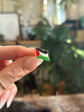 Load image into Gallery viewer, Pin / Badge - Palestinian Flag
