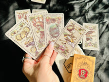 Load image into Gallery viewer, “The 5 Cent Tarot” + Bag + Smudging Stick
