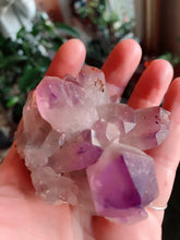 Load image into Gallery viewer, Crystal • Amethyst • Cluster
