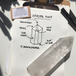 Crystal Point ⟁ Clear Quartz • Unique Piece (Medium Size)