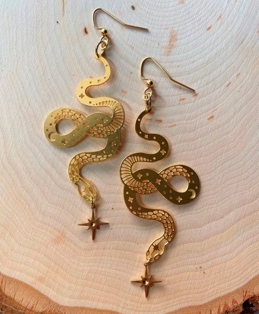 Snakes Earrings with Hanging Star