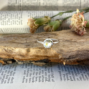 Silver Ring • Abalone • 925 Sterling Silver